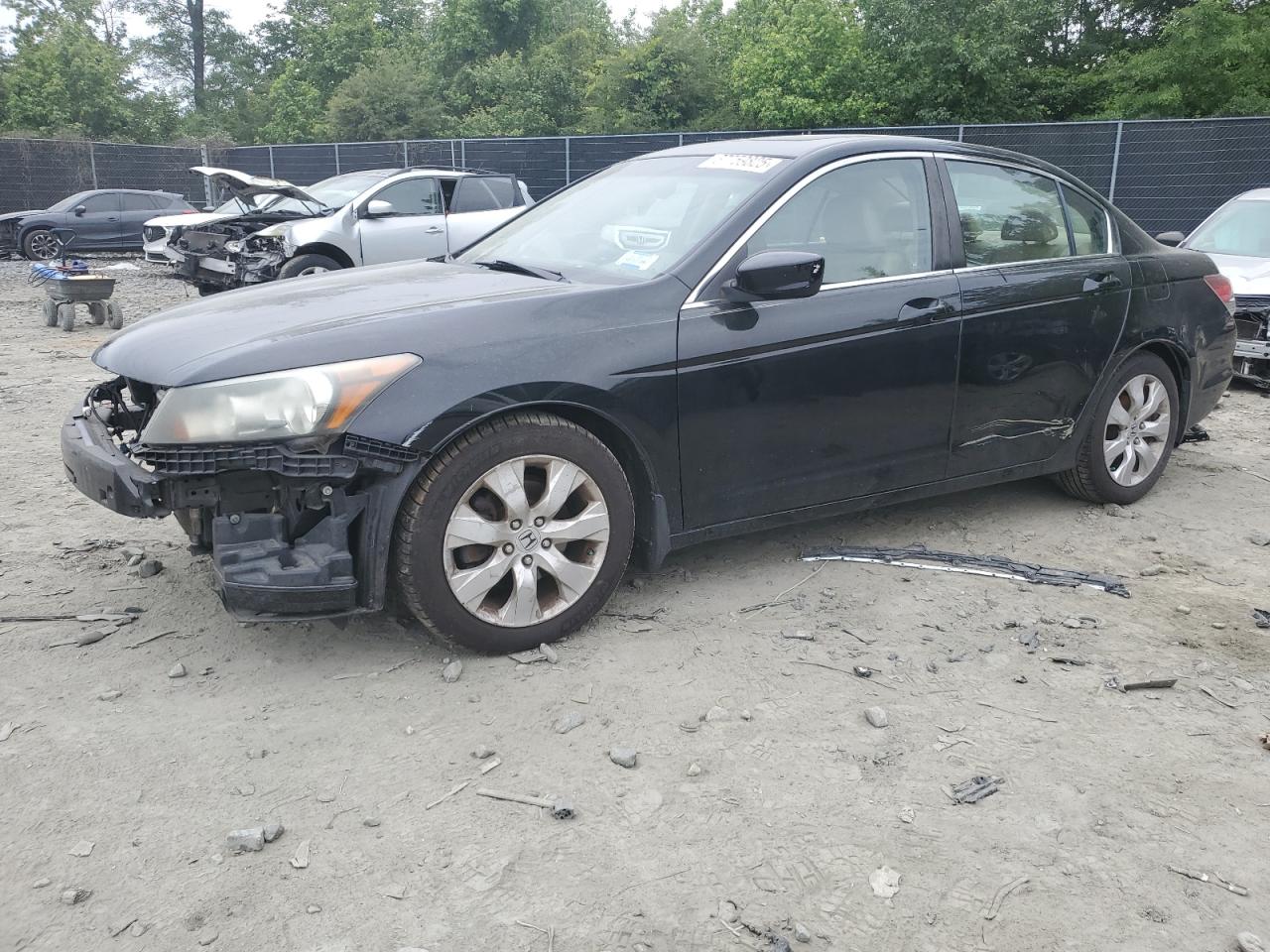 HONDA ACCORD EXL