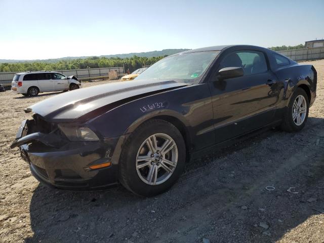 Vin: 1zvbp8am0e5306028, lot: 54316385, ford all models 2014 img_1