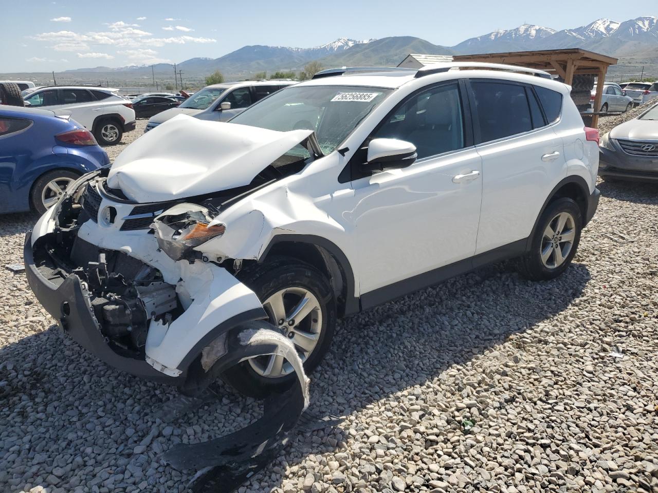 TOYOTA RAV4 XLE