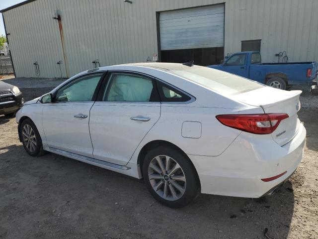 Vin: 5npe34af4gh351921, lot: 56650035, hyundai sonata sport 20162