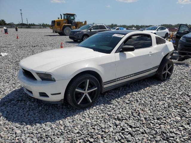 2010 FORD MUSTANG - 1ZVBP8AN8A5118621