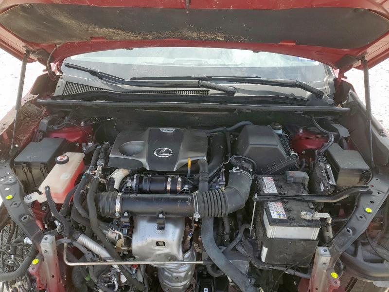 2020 LEXUS NX 300 - JTJGARDZ2L5009067