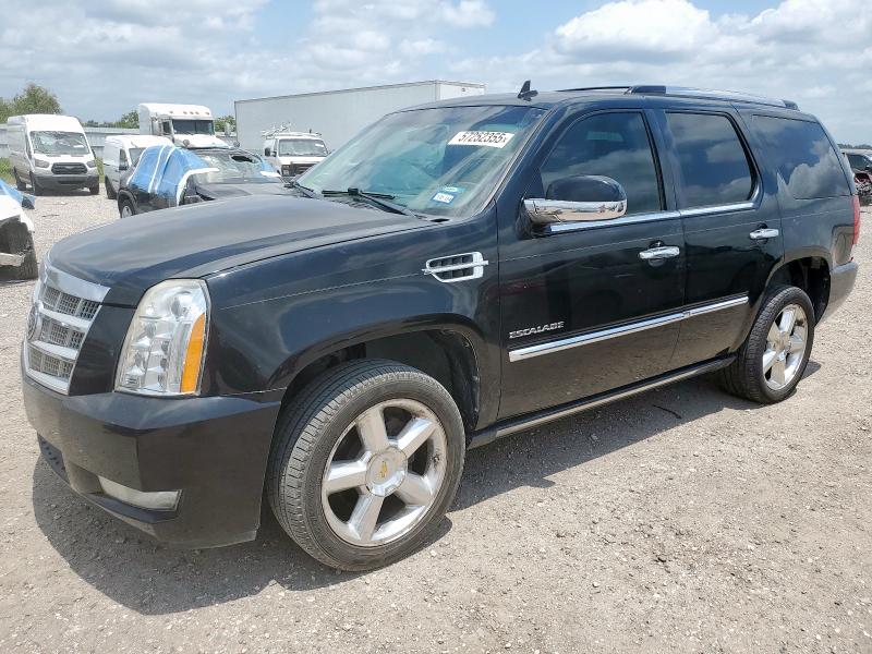 2012 CADILLAC ESCALADE P - 1GYS3DEF9CR102489