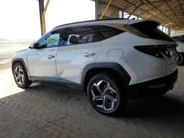 Vin: km8jecd18ru145671, lot: 57425995, hyundai tucson limited 20242