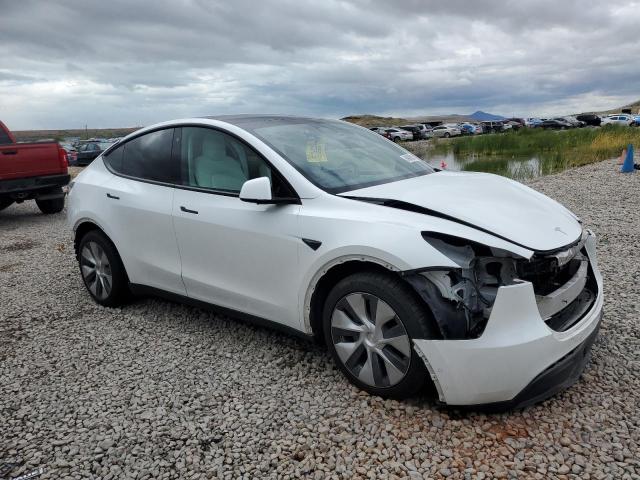 2023 TESLA MODEL Y 7SAYGAEE9PF584339