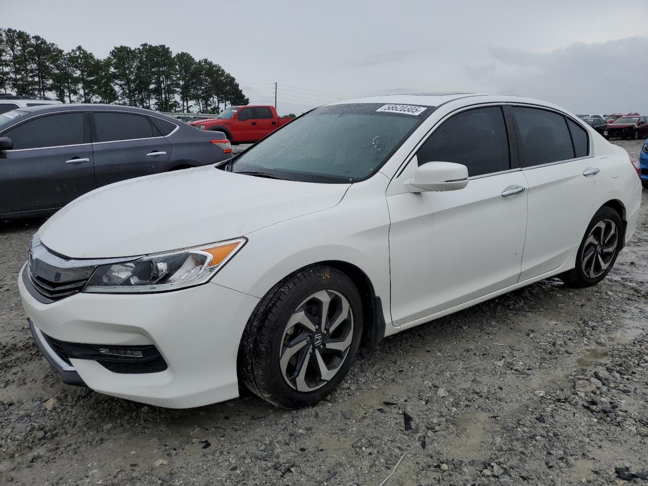 HONDA ACCORD EXL