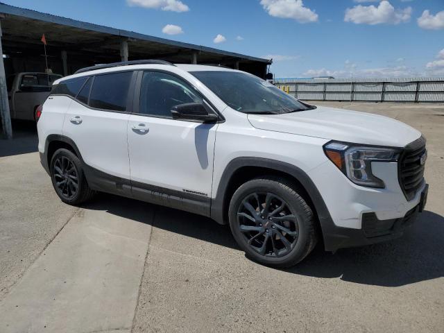 2024 GMC TERRAIN SL - 3GKALMEG6RL332148
