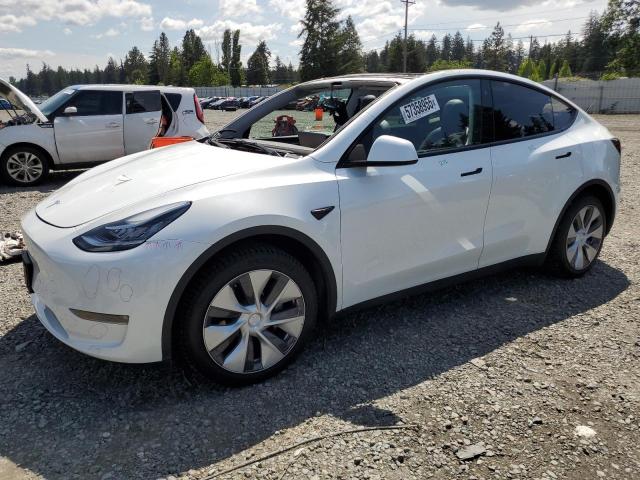 Vin: 7saygdee2pf587827, lot: 57358955, tesla model y 2023 img_1