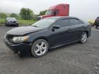 Top Destinations for Shipping Cars from the USA