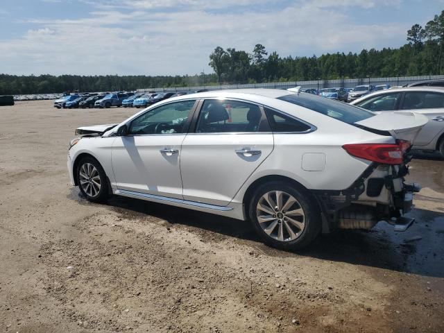 Vin: 5npe34af0gh300299, lot: 57208195, hyundai sonata sport 20162