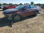 2023 NISSAN ALTIMA SL - 1N4BL4EV2PN406960