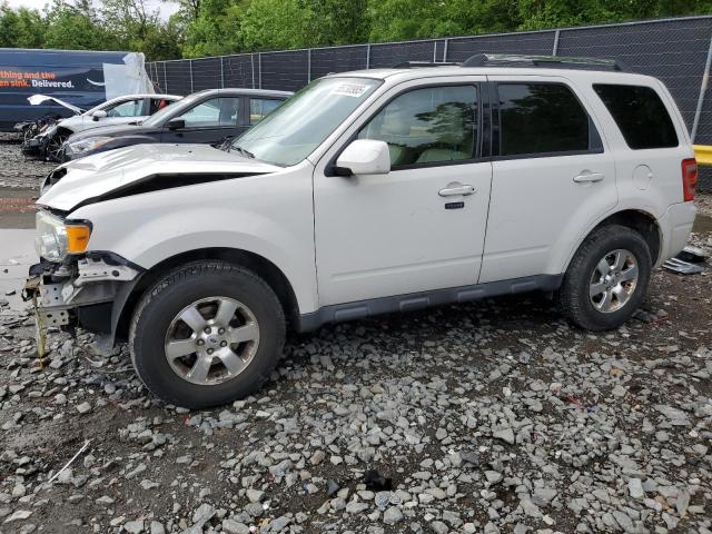 FORD ESCAPE LIM