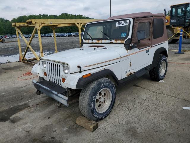 Vin: 1j4fy29s6pp245917, lot: 58805235, jeep wrangler 1993 img_1