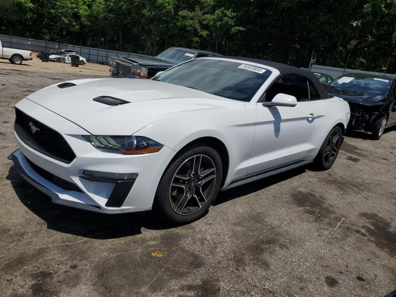 FORD MUSTANG