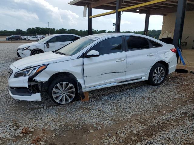 Vin: 5npe34af4fh031738, lot: 55781025, hyundai sonata sport 2015 img_1