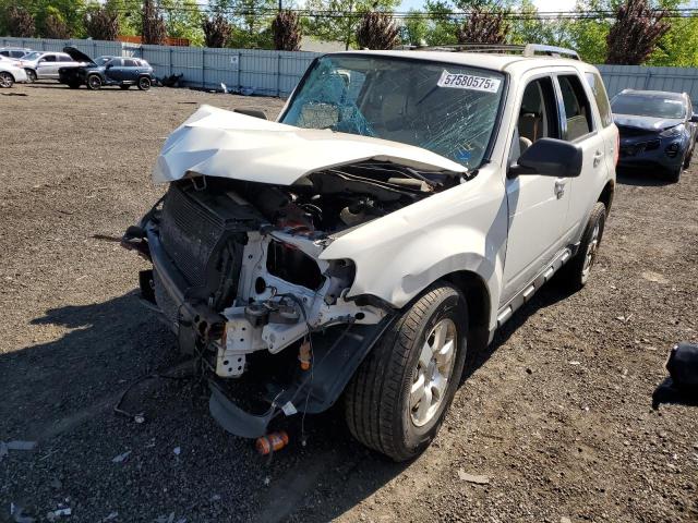 Vin: 1fmcu9eg8bkb56611, lot: 57580575, ford escape limited 2011 img_1