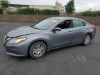 2016 NISSAN ALTIMA 2.5 - 1N4AL3AP4GC181143