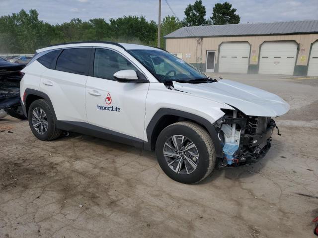 Vin: km8jbcd15ru194268, lot: 58512875, hyundai tucson blue 20244