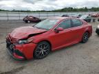 2022 TOYOTA CAMRY NIGH - 4T1G31AK9NU045669