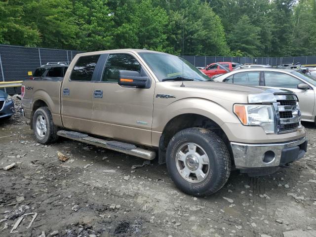 Vin: 1ftfw1et1dfc62680, lot: 58475505, ford f-150 supercrew 20134