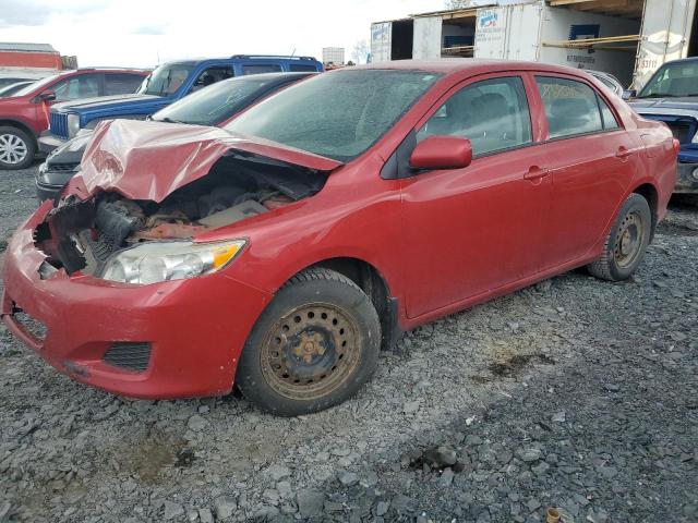 TOYOTA COROLLA BA