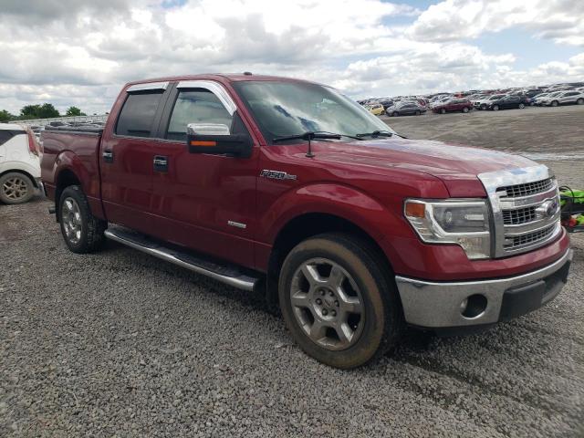 Vin: 1ftfw1ct5efc49449, lot: 53208175, ford f-150 supercrew 20144
