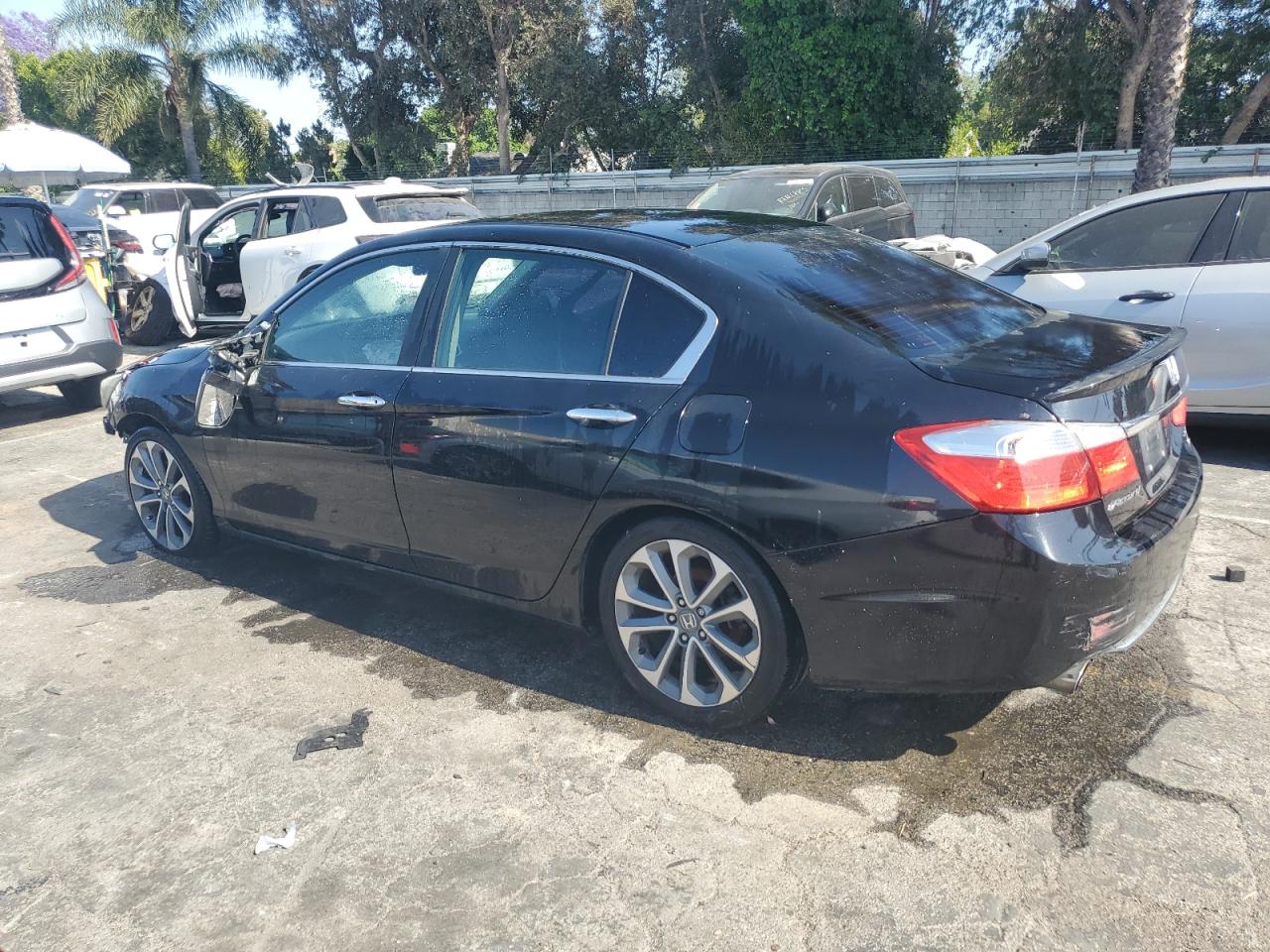 Lot #3308229203 2014 HONDA ACCORD SPO