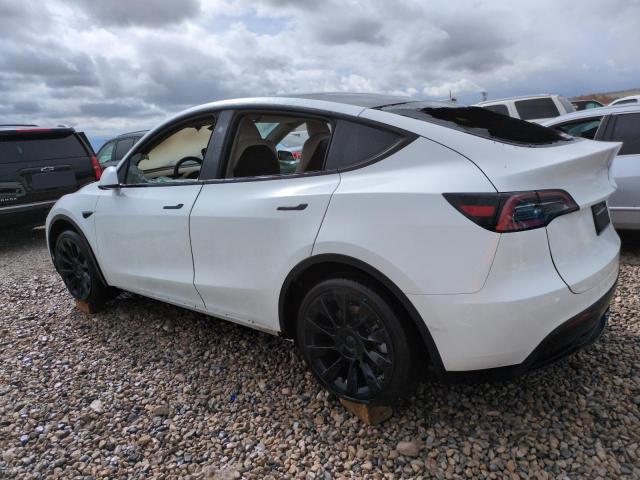2023 TESLA MODEL Y 7SAYGAEE1PF978353
