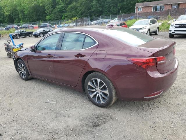 Vin: 19uub1f59fa010664, lot: 57842025, acura tlx tech 20152