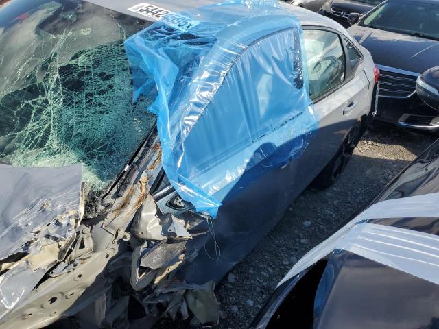2024 HONDA CIVIC SPOR 2HGFE2F57RH528557