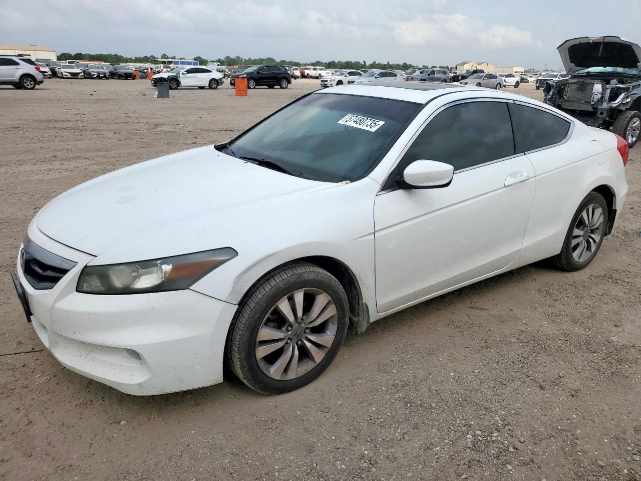 HONDA ACCORD EXL