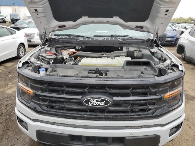 2024 FORD F150 XLT 1FTFW3LD3RFA39328