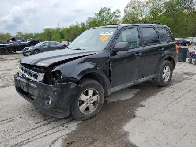 Vin: 1fmcu0d77akb19397, lot: 54566415, ford escape xlt 2010 img_1