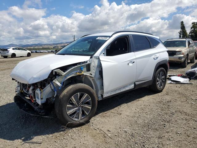Vin: km8jbca19pu100684, lot: 56344205, hyundai tucson blue 2023 img_1