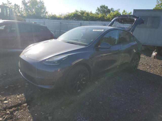 Vin: 7saygdeexpa199001, lot: 57221125, tesla model y 2023 img_1