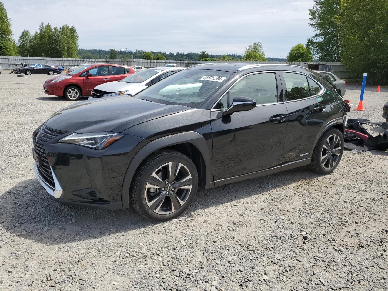 LEXUS UX 250H