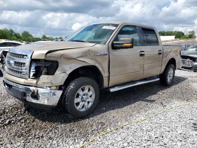 Vin: 1ftew1cm7dkg38281, lot: 55798635, ford f-150 supercrew 2013 img_1