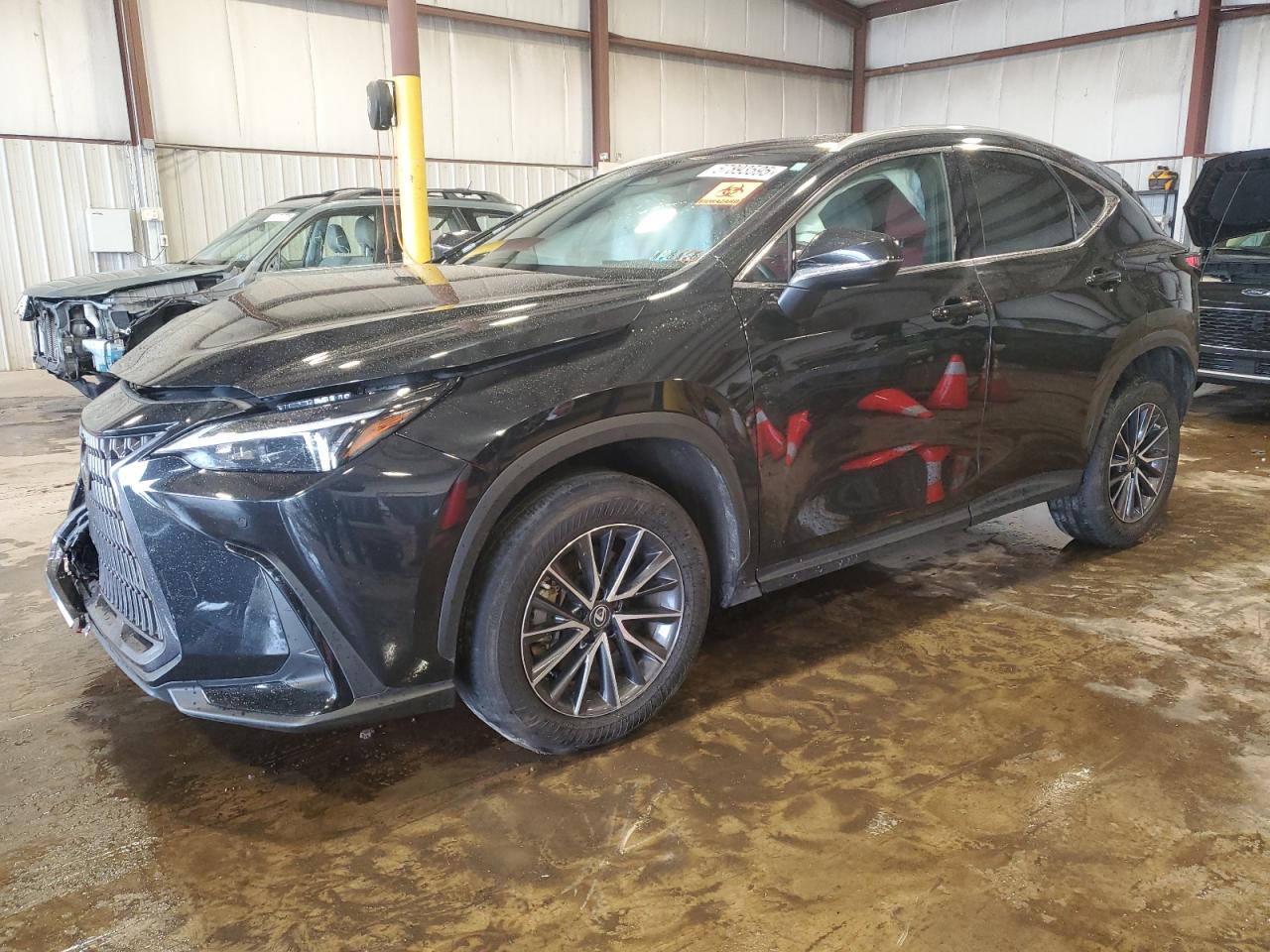 LEXUS NX 350H