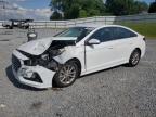 2019 HYUNDAI SONATA SE - 5NPE24AF7KH741620