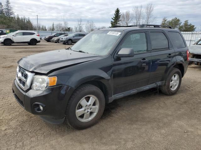 Vin: 1fmcu0dg5cka39874, lot: 53158135, ford escape xlt 2012 img_1