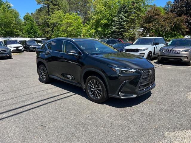Vin: 2t2adcaz4nc001183, lot: 58992635, lexus nx 250 250 2022 img_1