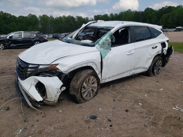 Vin: km8jbca14pu131888, lot: 57106165, hyundai tucson blue 2023 img_1