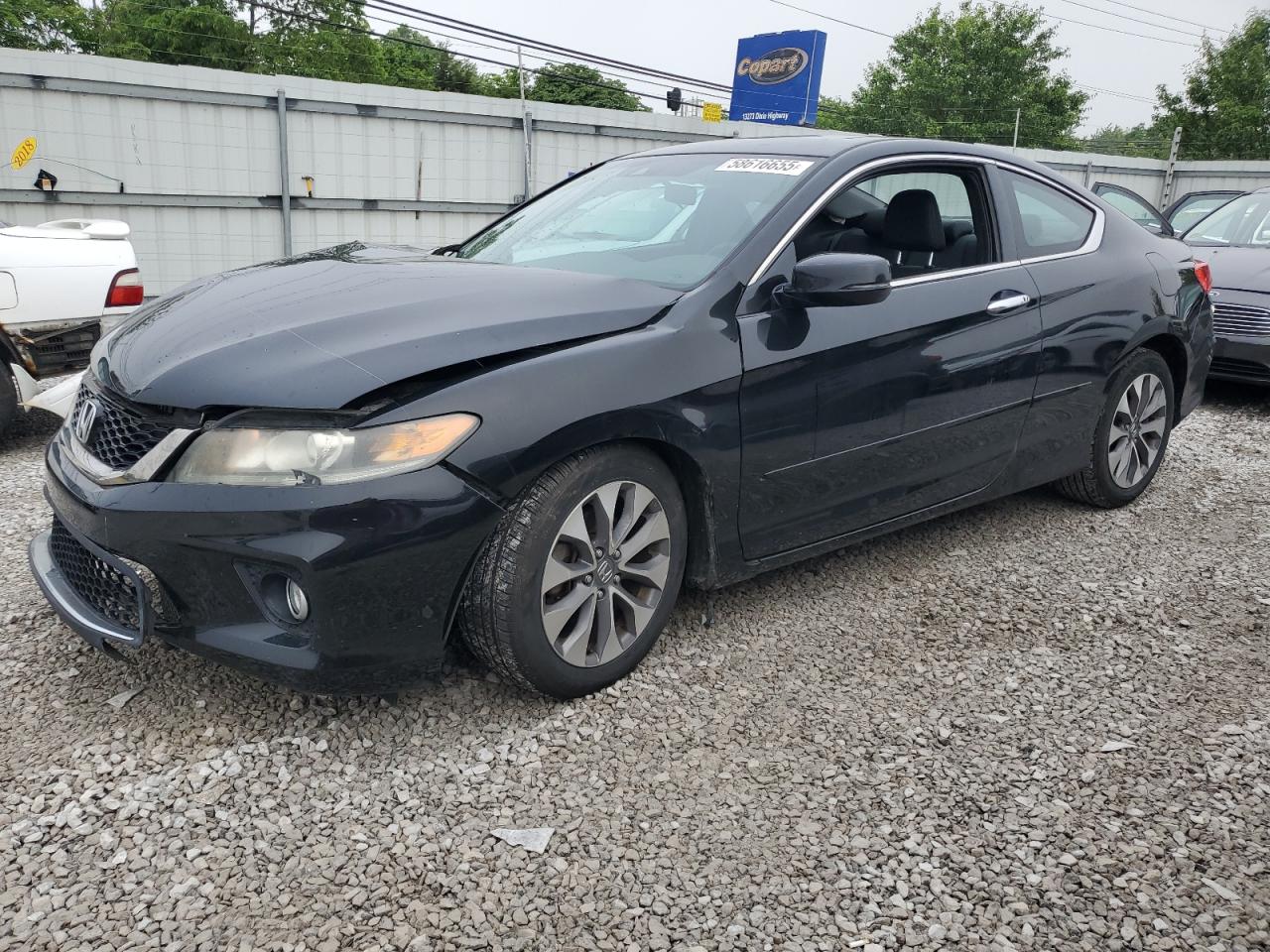 HONDA ACCORD EXL