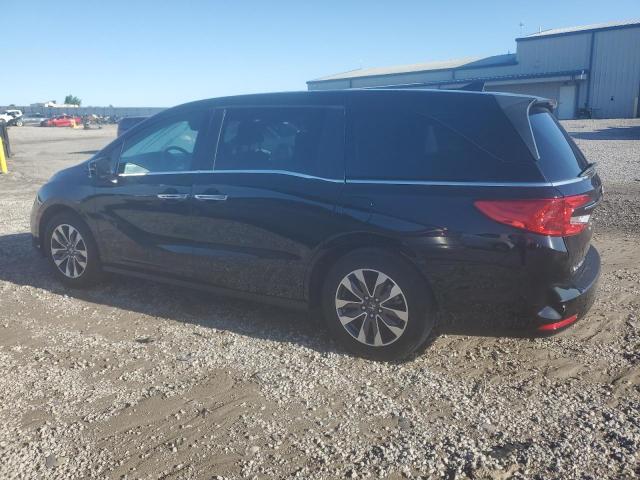 Vin: 5fnrl6h77mb038934, lot: 57079805, honda all models exl 20212