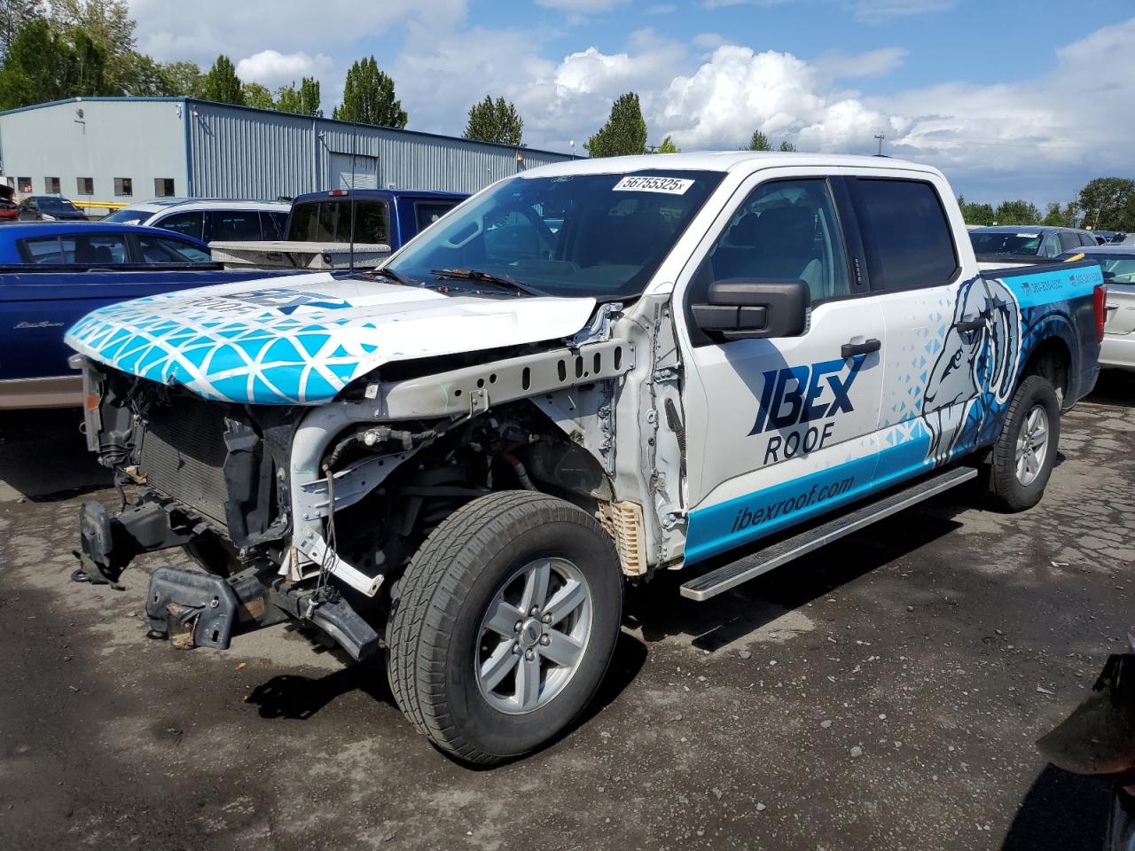 FORD F-150 2021
