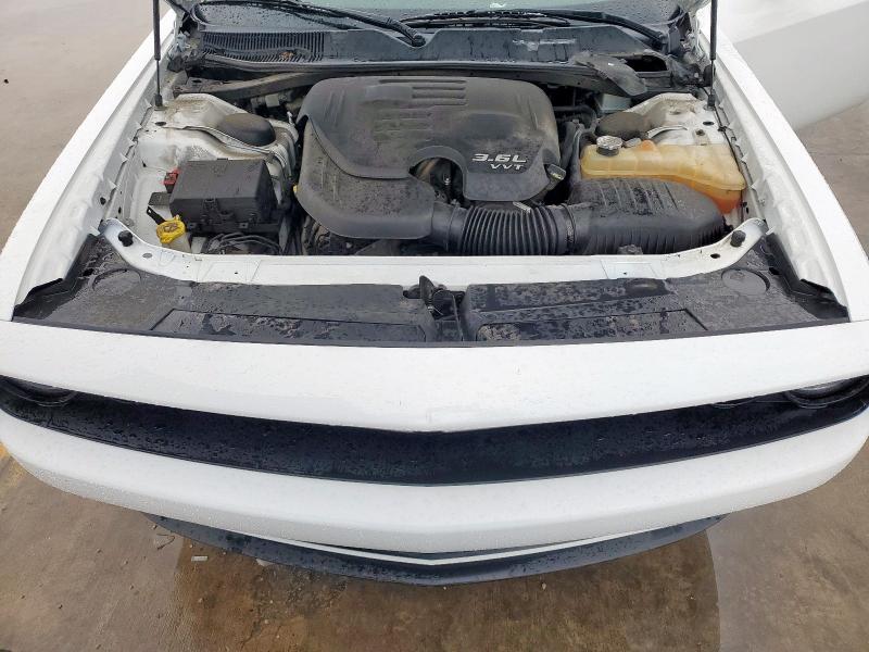 2019 DODGE CHALLENGER - 2C3CDZAG3KH563497