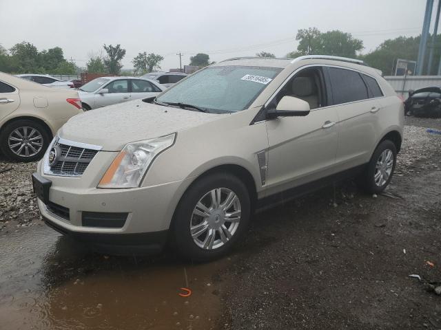 Vin: 3gyfnaeyxas654721, lot: 58516485, cadillac srx luxury collection 2010 img_1