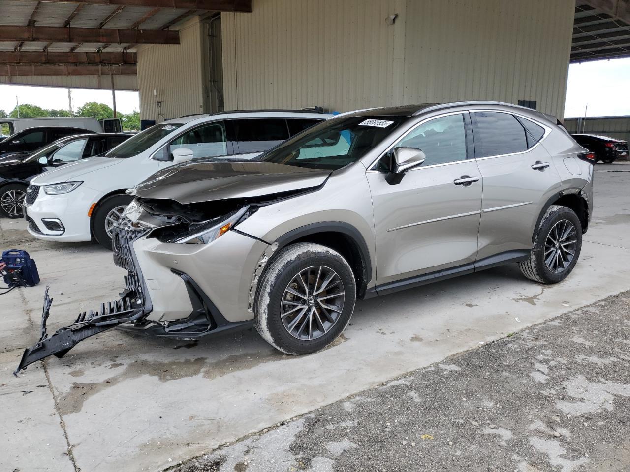 LEXUS NX 250 PREMIUM