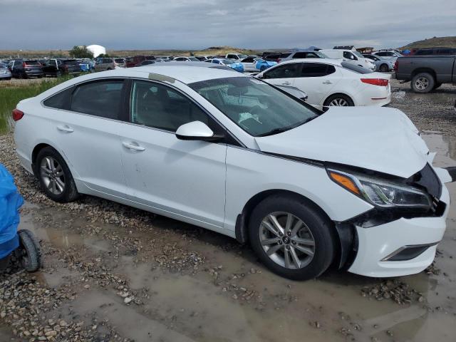 Vin: 5npe24af7hh497704, lot: 55852575, hyundai sonata se 20174