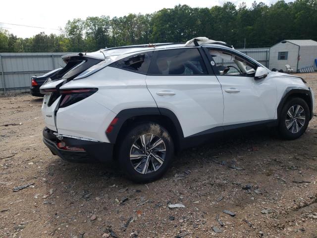 Vin: km8jbca14pu131888, lot: 57106165, hyundai tucson blue 20233